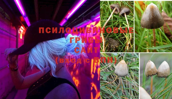 ПСИЛОЦИБИНОВЫЕ ГРИБЫ Краснослободск
