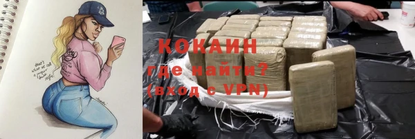 ПСИЛОЦИБИНОВЫЕ ГРИБЫ Краснослободск