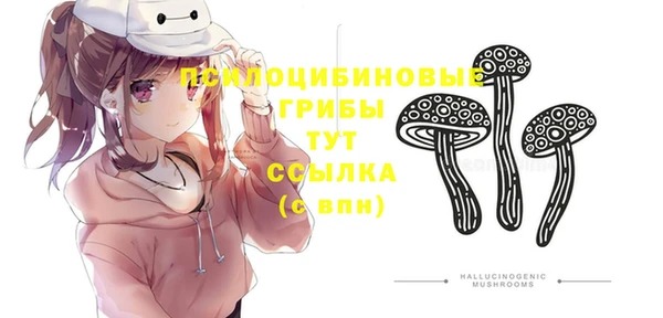 ПСИЛОЦИБИНОВЫЕ ГРИБЫ Краснослободск