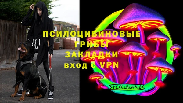 ПСИЛОЦИБИНОВЫЕ ГРИБЫ Краснослободск
