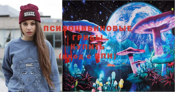 ПСИЛОЦИБИНОВЫЕ ГРИБЫ Краснослободск