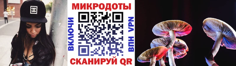 Псилоцибиновые грибы Psilocybine cubensis  Купить  Любим 