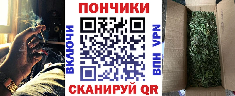 Купить где  Любим  Каннабис Amnesia 